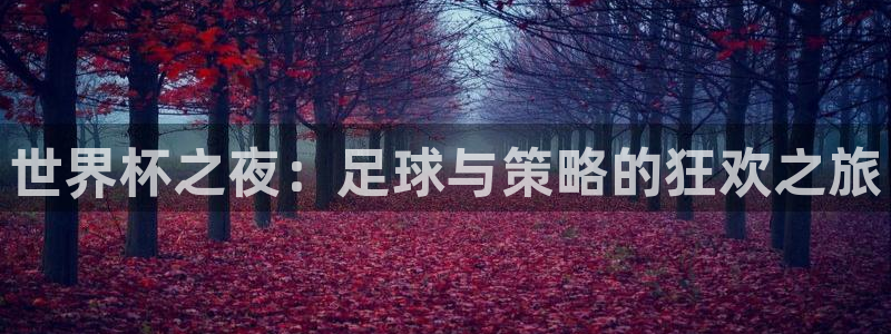 免费足球比赛直播高清：世界杯之夜：足球与策略的狂欢之旅