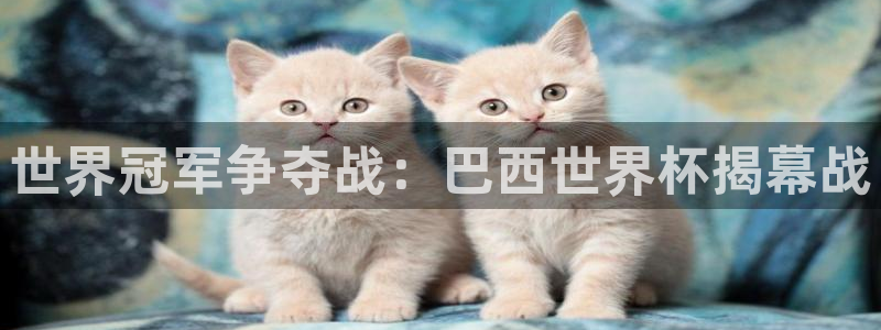 2026世预赛赛程:世界冠军争夺战:巴西世界杯揭幕战