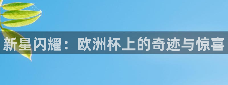 世界杯预选赛赛程：新星闪耀：欧洲杯上的奇迹与惊喜