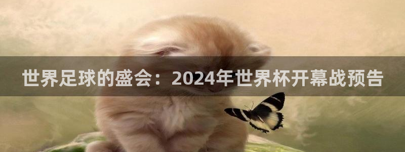 世界杯球队排名：世界足球的盛会：2024年世界杯开幕战预告