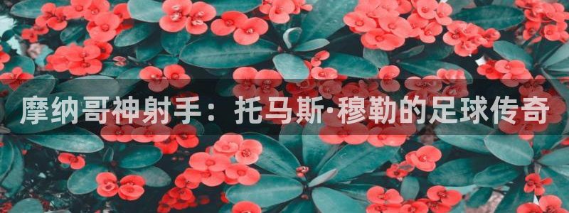 2026世界杯预选赛：摩纳哥神射手：托马斯·穆勒的足球传奇