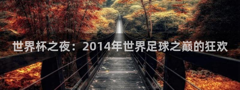 世界杯亚洲区预选赛：世界杯之夜：2014年世界足球之巅的狂欢