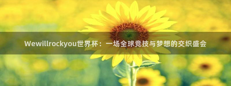 2026葡萄牙杯赛程表：Wewillrockyou世界杯：一场全球竞技与梦想的交织盛会