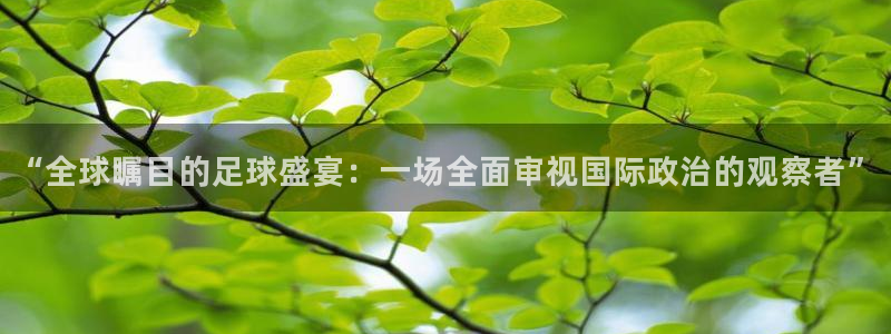 世界杯预选赛赛程：“全球瞩目的足球盛宴：一场全面审视国际政治的观察者”