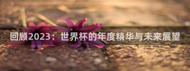 世界杯在线直播入口：回顾2023：世界杯的年度精华与未来展望