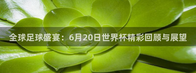 世界杯2026比赛时间表：全球足球盛宴：6月20日世界杯精彩回顾与展望