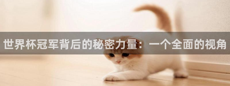 世界杯足球赛2026赛程时间:世界杯冠军背后的秘密力量:一个全面的视角