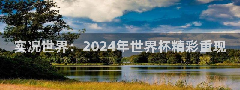今年的世界杯：实况世界：2024年世界杯精彩重现