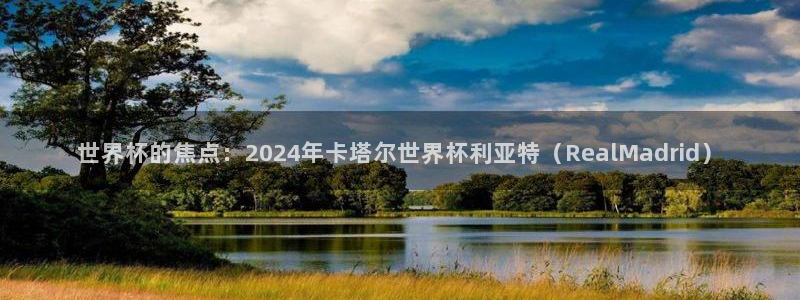 世界杯欧洲区预选赛：世界杯的焦点：2024年卡塔尔世界杯利亚特（RealMadrid）