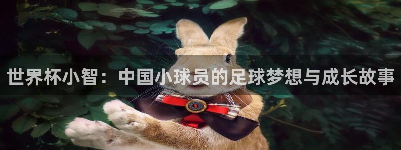 世界杯官网：世界杯小智：中国小球员的足球梦想与成长故事